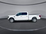 New 2025 Ford F-150 XLT 4x4 SuperCrew 6.5' Box