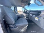 New 2025 Ford F-150 XLT 4x4 SuperCrew 6.5' Box