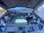 New 2025 Ford F-150 XLT 4x4 SuperCrew 5.5' Box