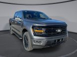 New 2025 Ford F-150 XLT 4x4 SuperCrew 5.5' Box