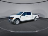 New 2025 Ford F-150 XLT 4x4 SuperCrew 6.5' Box