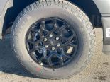 New 2025 Ford F-150 XLT 4x4 SuperCrew 5.5' Box