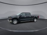 New 2025 Ford F-150 XLT 4x4 SuperCrew 6.5' Box