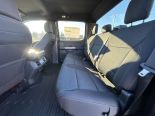 New 2025 Ford F-150 XLT 4x4 SuperCrew 5.5' Box