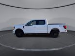 New 2025 Ford F-150 XLT 4x4 SuperCrew 5.5' Box