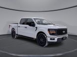 New 2025 Ford F-150 STX 2WD SuperCrew 5.5' Box