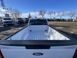 New 2025 Ford F-150 XLT 4x4 SuperCrew 6.5' Box