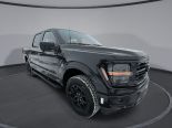 New 2025 Ford F-150 XLT 4x4 SuperCrew 5.5' Box