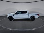 New 2025 Ford F-150 STX 4x4 SuperCrew 5.5' Box