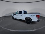 New 2025 Ford F-150 STX 4x4 SuperCrew 5.5' Box