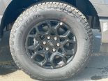 New 2025 Ford F-150 XLT 4x4 SuperCrew 5.5' Box