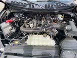 New 2025 Ford F-150 XLT 4x4 SuperCrew 5.5' Box