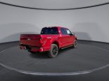New 2025 Ford F-150 XLT 4x4 SuperCrew 5.5' Box