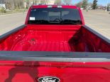 New 2025 Ford F-150 XLT 4x4 SuperCrew 5.5' Box