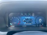 New 2025 Ford F-150 STX 4x4 SuperCrew 5.5' Box