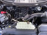 New 2025 Ford F-150 STX 4x4 SuperCrew 5.5' Box