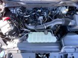 New 2025 Ford F-150 STX 4x4 SuperCrew 5.5' Box