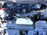 New 2025 Ford F-150 XLT 4x4 SuperCrew 5.5' Box