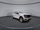 New 2025 Ford F-150 XL 4x4 SuperCrew 5.5' Box