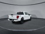 New 2025 Ford F-150 XLT 4x4 SuperCrew 5.5' Box