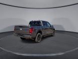New 2025 Ford F-150 XLT 4x4 SuperCrew 5.5' Box