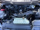 New 2025 Ford F-150 XLT 4x4 SuperCrew 5.5' Box