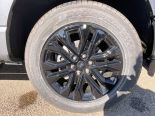 New 2025 Ford F-150 XLT 4x4 SuperCrew 5.5' Box