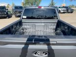 New 2025 Ford F-150 XLT 4x4 SuperCrew 5.5' Box