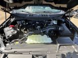 New 2025 Ford F-150 XLT 4x4 SuperCab 6.5' Box