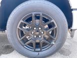 New 2025 Ford F-150 STX 4x4 SuperCrew 5.5' Box