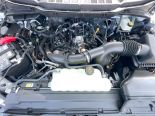 New 2025 Ford F-150 STX 4x4 SuperCrew 5.5' Box