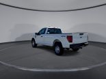 New 2025 Ford F-150 XL 4x4 Reg Cab 8' Box