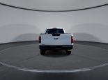 New 2025 Ford F-150 XL 4x4 Reg Cab 8' Box