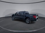 New 2025 Ford F-150 STX 4x4 SuperCrew 5.5' Box