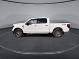 New 2025 Ford F-150 XLT 4x4 SuperCrew 5.5' Box