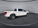 New 2025 Ford F-150 XLT 4x4 SuperCrew 5.5' Box