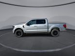 New 2025 Ford F-150 XLT 4x4 SuperCrew 5.5' Box