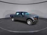 New 2025 Ford F-150 XL 4x4 SuperCrew 5.5' Box