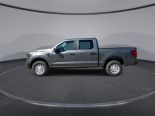 New 2025 Ford F-150 XL 4x4 SuperCrew 5.5' Box