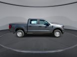 New 2025 Ford F-150 XL 4x4 SuperCrew 5.5' Box