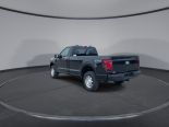 New 2025 Ford F-150 XL 4x4 Reg Cab 8' Box