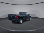New 2025 Ford F-150 XL 4x4 Reg Cab 8' Box
