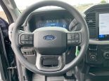 New 2025 Ford F-150 XL 4x4 Reg Cab 8' Box