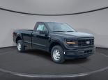 New 2025 Ford F-150 XL 4x4 Reg Cab 8' Box