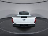 New 2025 Ford F-150 XL 4x4 SuperCrew 5.5' Box