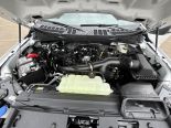 New 2025 Ford F-150 XL 4x4 SuperCrew 5.5' Box