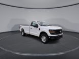 New 2025 Ford F-150 XL 4x4 Reg Cab 8' Box
