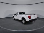 New 2025 Ford F-150 XL 4x4 Reg Cab 8' Box