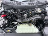 New 2025 Ford F-150 XL 4x4 Reg Cab 8' Box