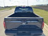 New 2025 Ford F-150 XLT 4x4 SuperCrew 5.5' Box
